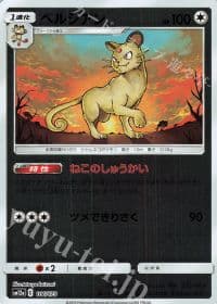 ブラッキー&ダークライGX